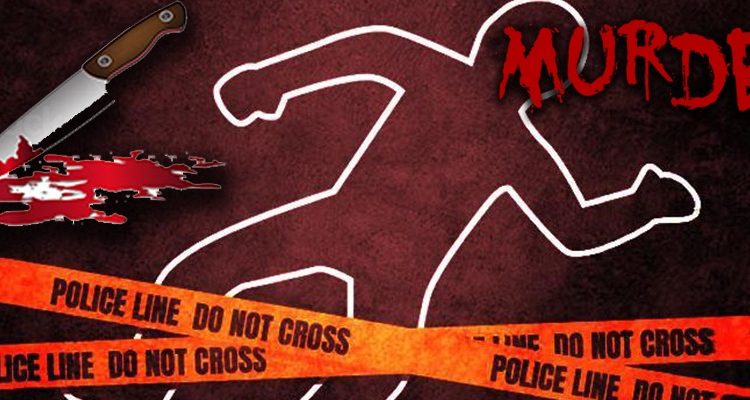 murder case lawyer in gurgaon