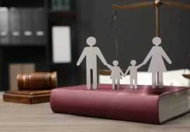 child custody lawyer in gurgaon